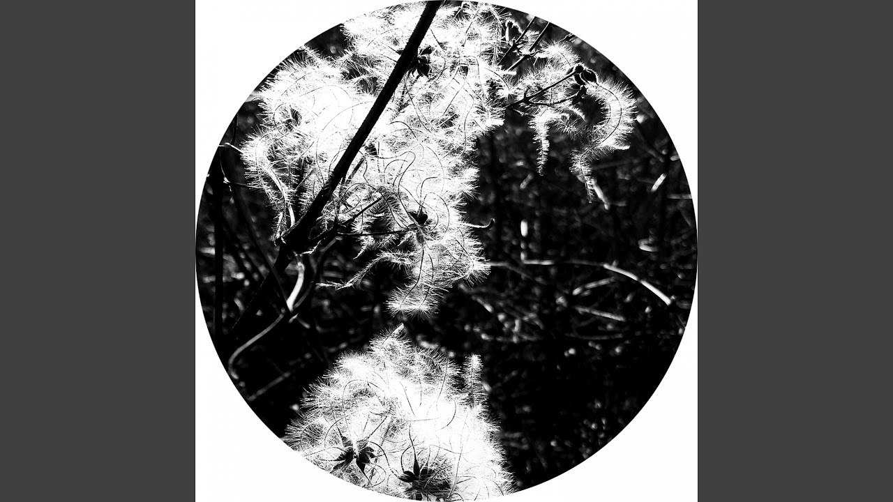 Iliachtides (Polar Inertia rework)