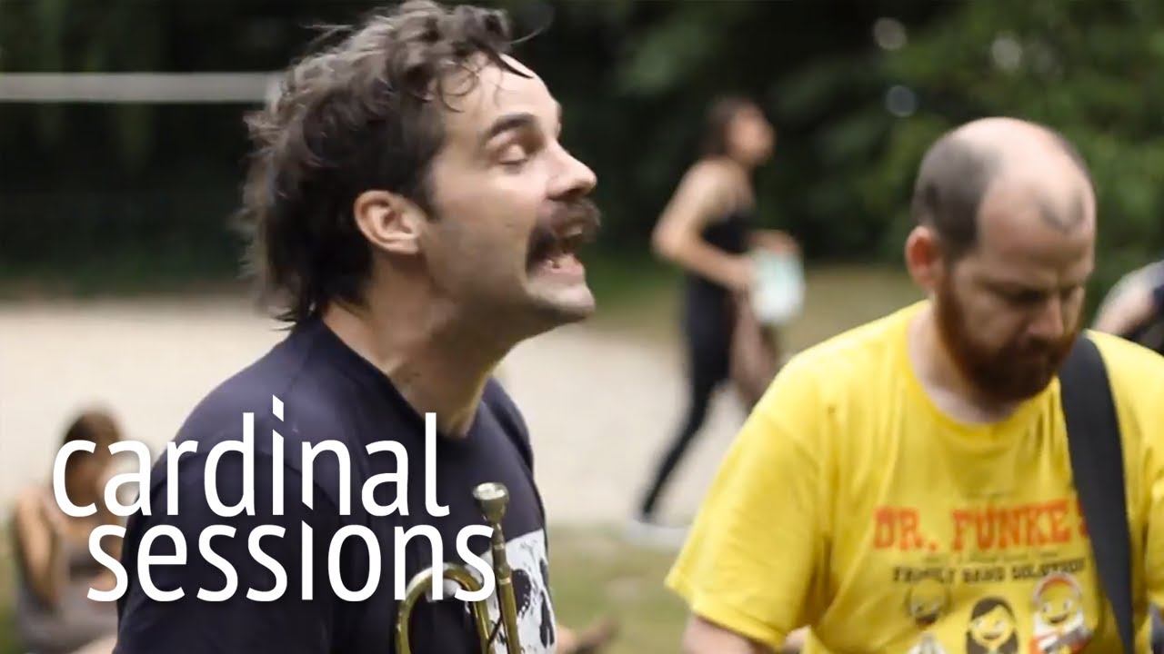 Listener - I Don't Want To Live Forever - CARDINAL SESSIONS