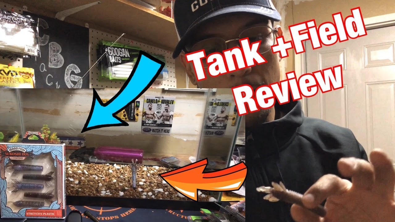 Sukoshi Bug Review (ZMans Competition?!)