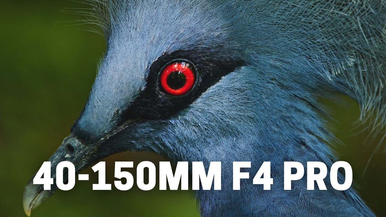 This Lens Is Sharp! OMSystem 40-150mm F4 PRO