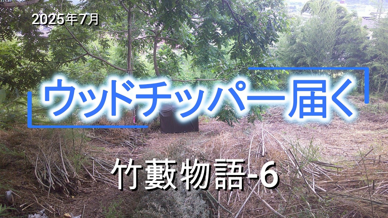 50年前に買った土地を覆う「竹藪」と、素人が闘う物語-6