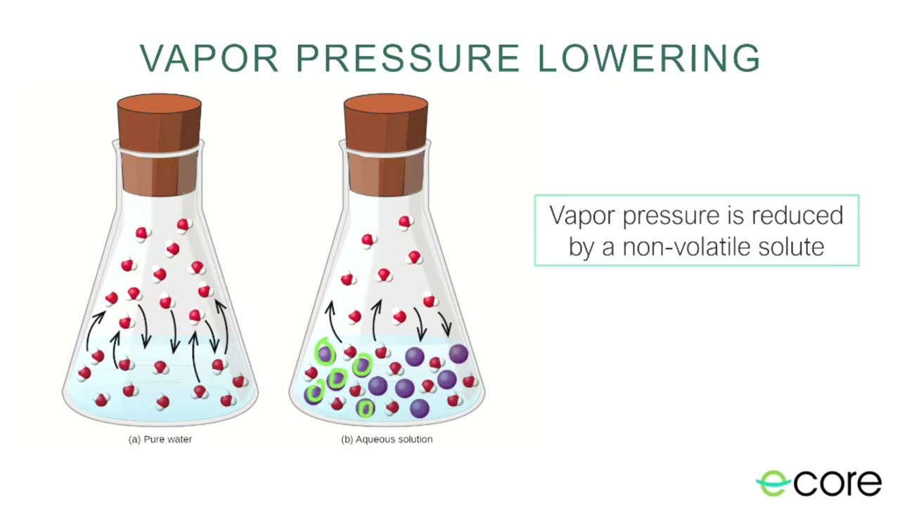 Vapor pressure and boiling point  as Colligative properties - Real Chemistry