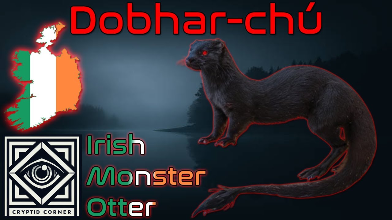 Dobhar-ch&uacute; | The Monster Otters of Ireland