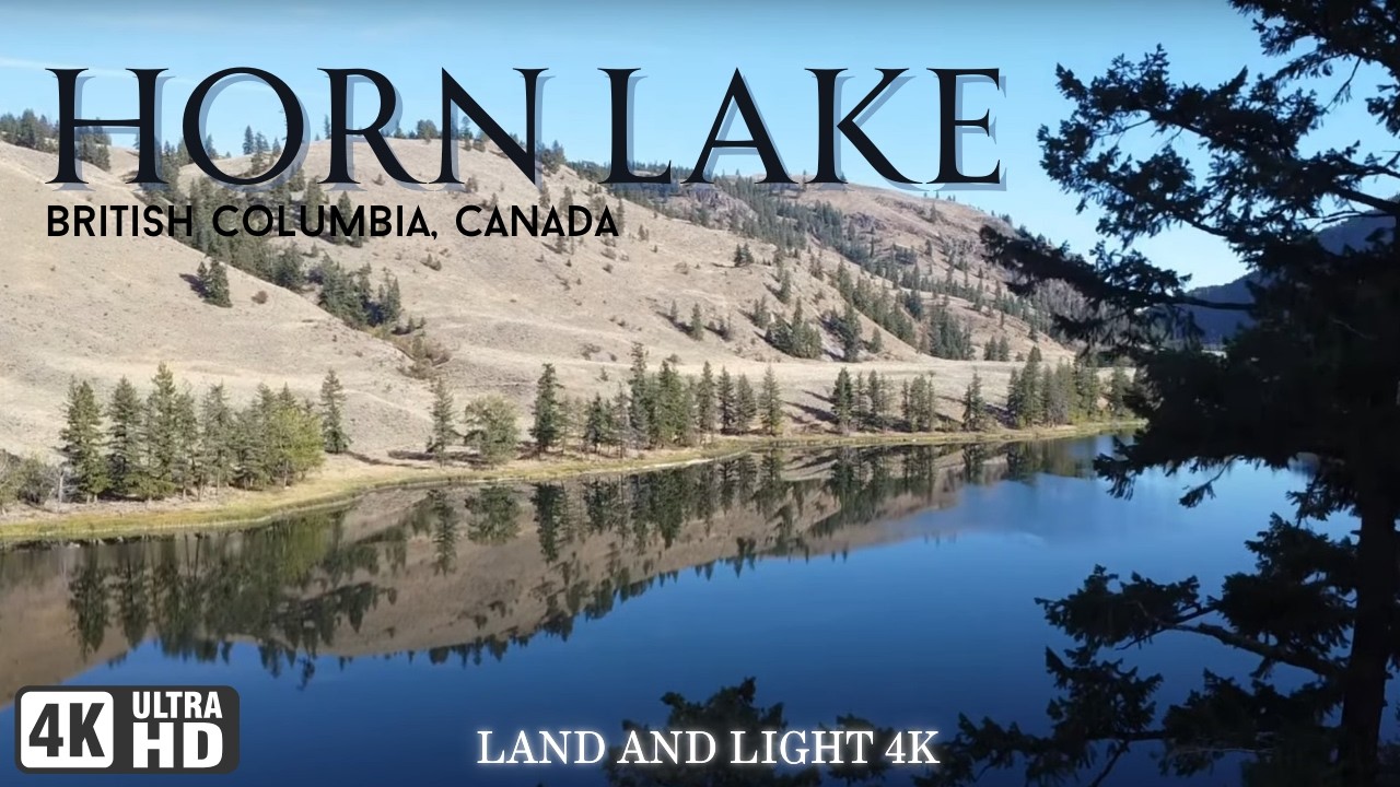 GREAT BLUE HERON HORN LAKE BRITISH COLUMBIA STUNNING WILDLIFE IN 4K Relaxation  Film #peaceful #lake
