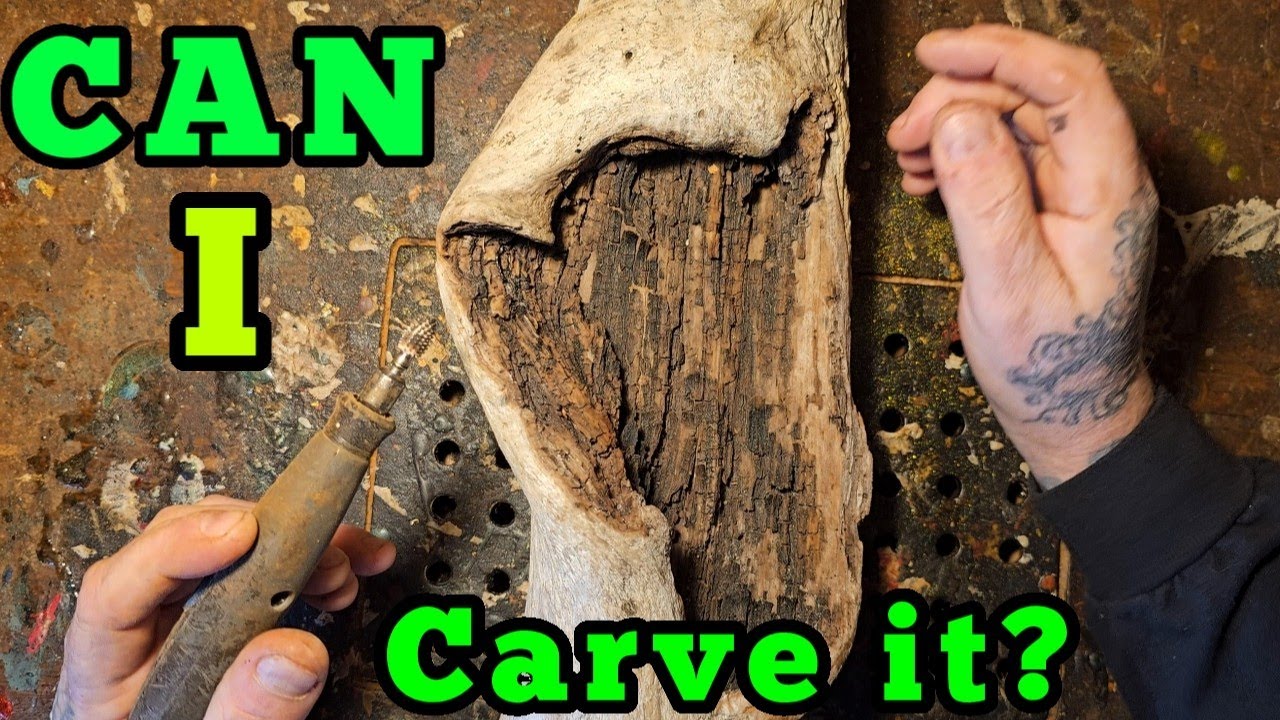 Dremel Carving A rotten old tree nook. Trials & Errors.