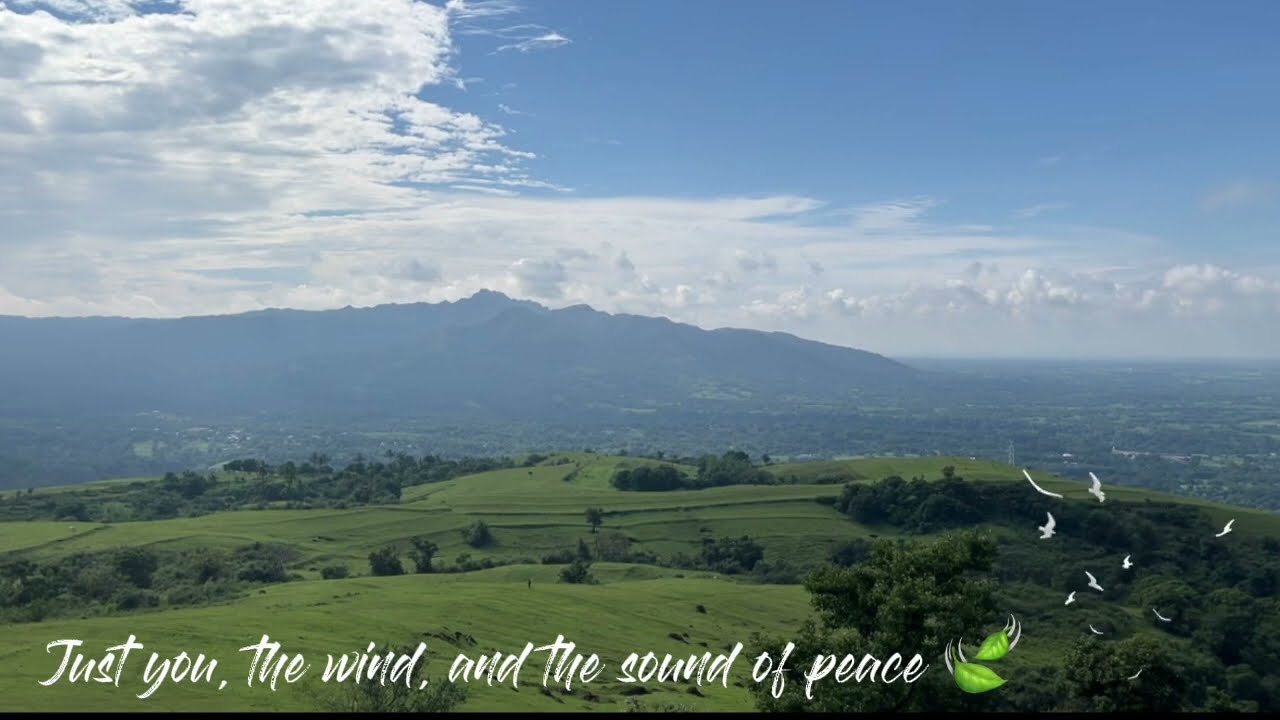1 Hour of Peaceful Focus | Relaxing Mountain View & Nature Sounds 🌿