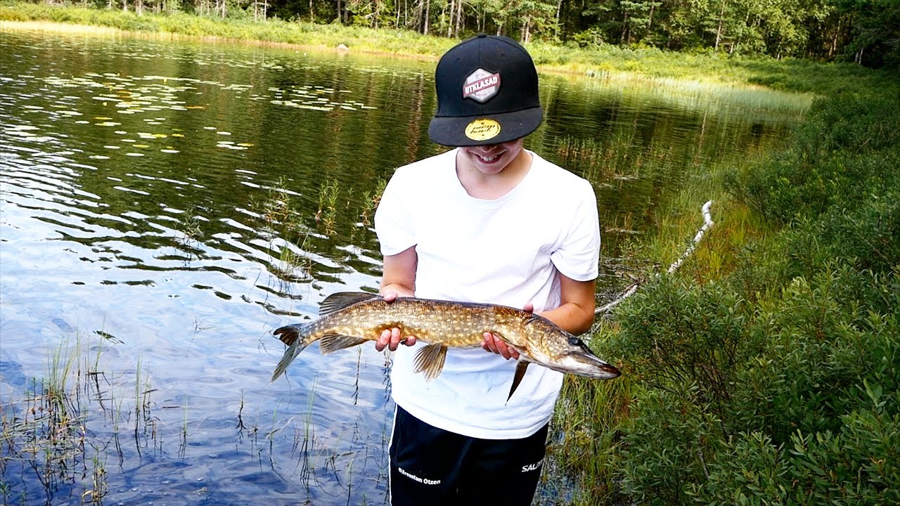FISKE efter GÄDDA & ABBORRE från land - Sven tappar räkningen