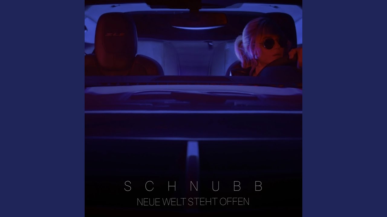 neue Welt steht offen (Es ist wie es ist Part II)