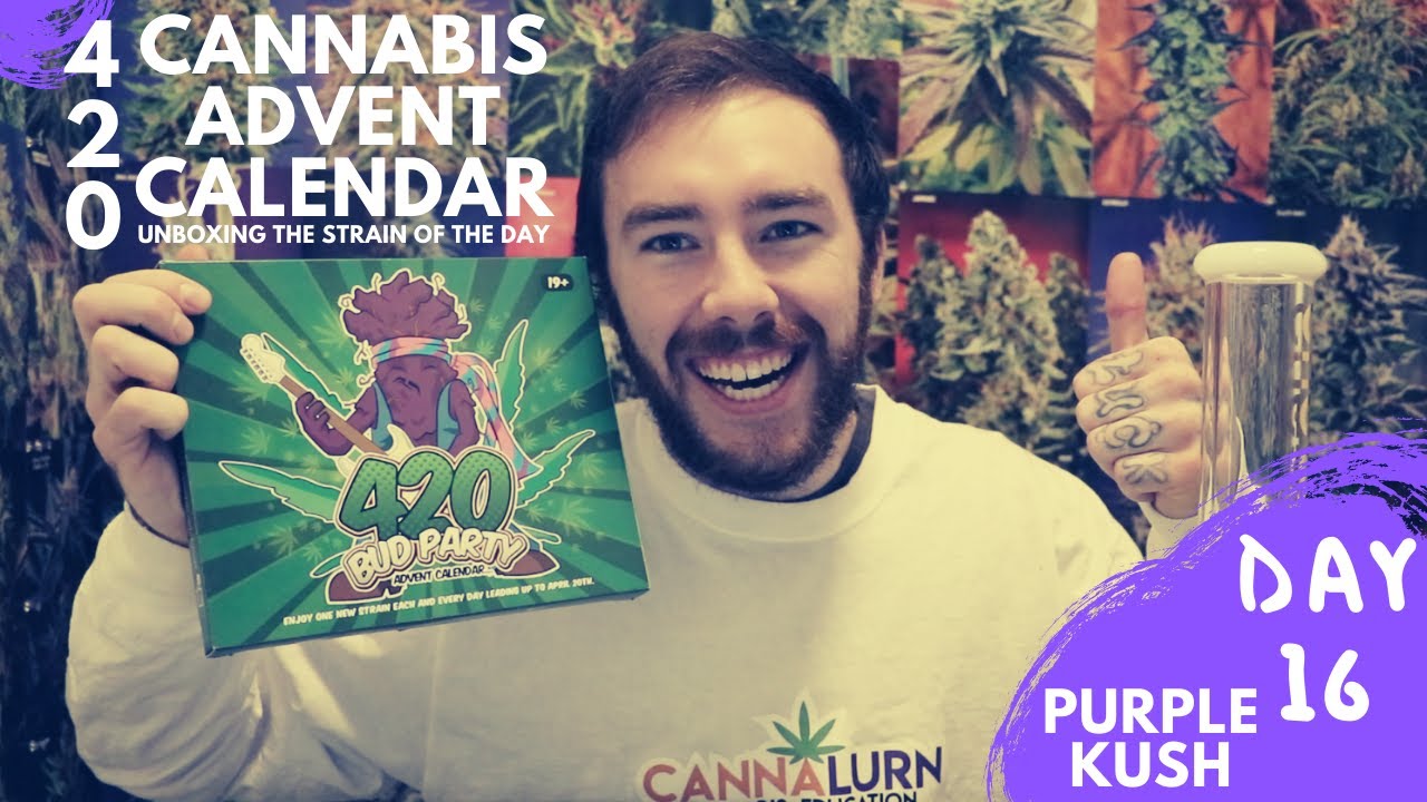 Day 16: Purple Kush Marijuana Strain Review - 420 Cannabis Advent Calendar Unboxing