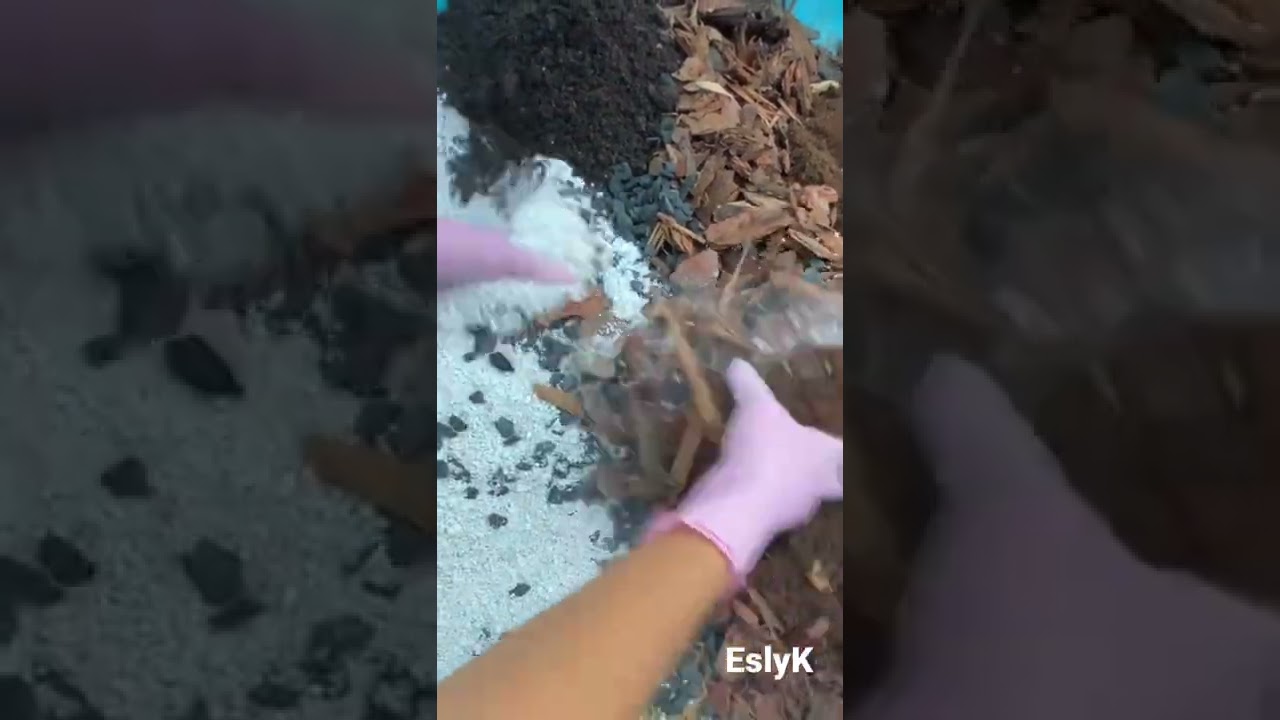 Aroid Plants soil mix 🌱