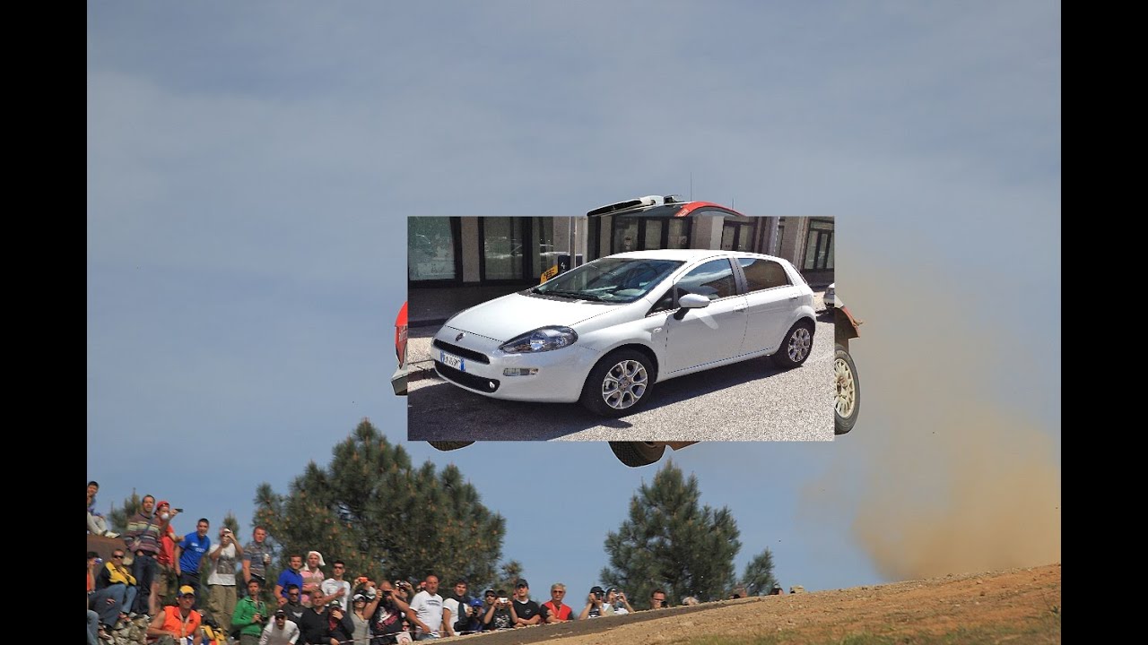 RBR 1st place worldwide in s2000 category in a fiat punto / 