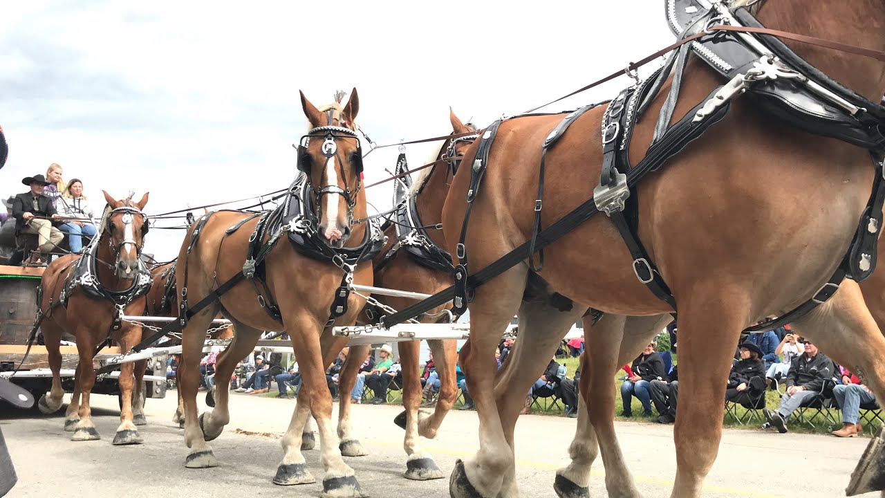 Parade du festival western de st-tite 2019 #sttite #festivalwesternsttite2019