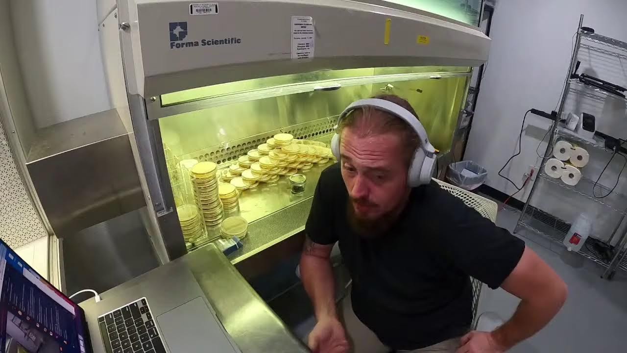 Тусуюсь в боксе! Занимаюсь посевами, агаром и не только.