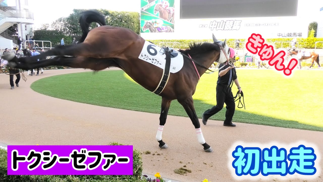 「きゅん！」可愛い声をあげながら蹴りを繰り出しちゃうトクシーゼファー