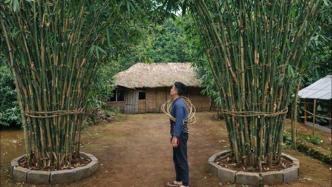 Due to poor health, Linh is temporarily unable to upload videos regularly.