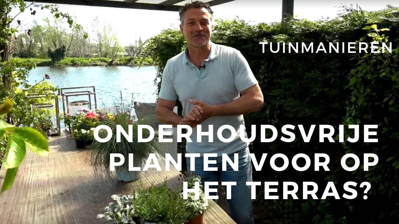 Onderhoudsvrije planten op het balkon. Welke planten zet je op een balkon met zon, weinig aandacht?