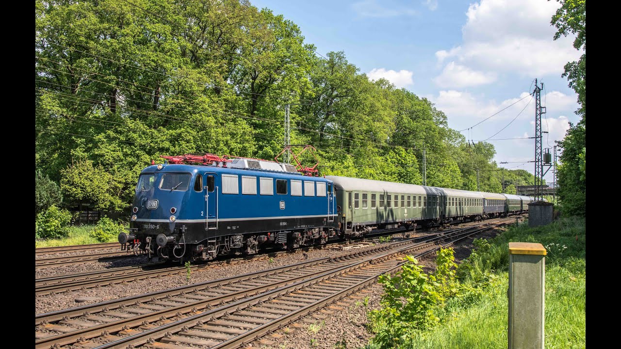 G&uuml;mmerwald, MEH, Flixtrain, HGL br159, NES br159, NSI br193, RTB, Revita Twin, SHB, Metrans enz