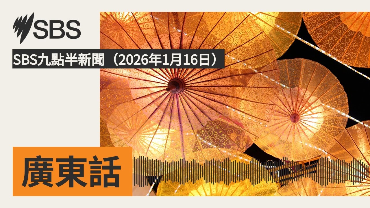 SBS九點半新聞（2026年1月16日） | SBS Cantonese - SBS廣東話節目