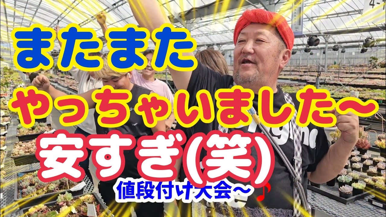 【多肉植物】【リエールハウス販売会】またまたやっちゃいました～🎵安すぎ(笑)今月は3月15日(土)16日(日)ハウス解放販売会‼️2025年3月14日