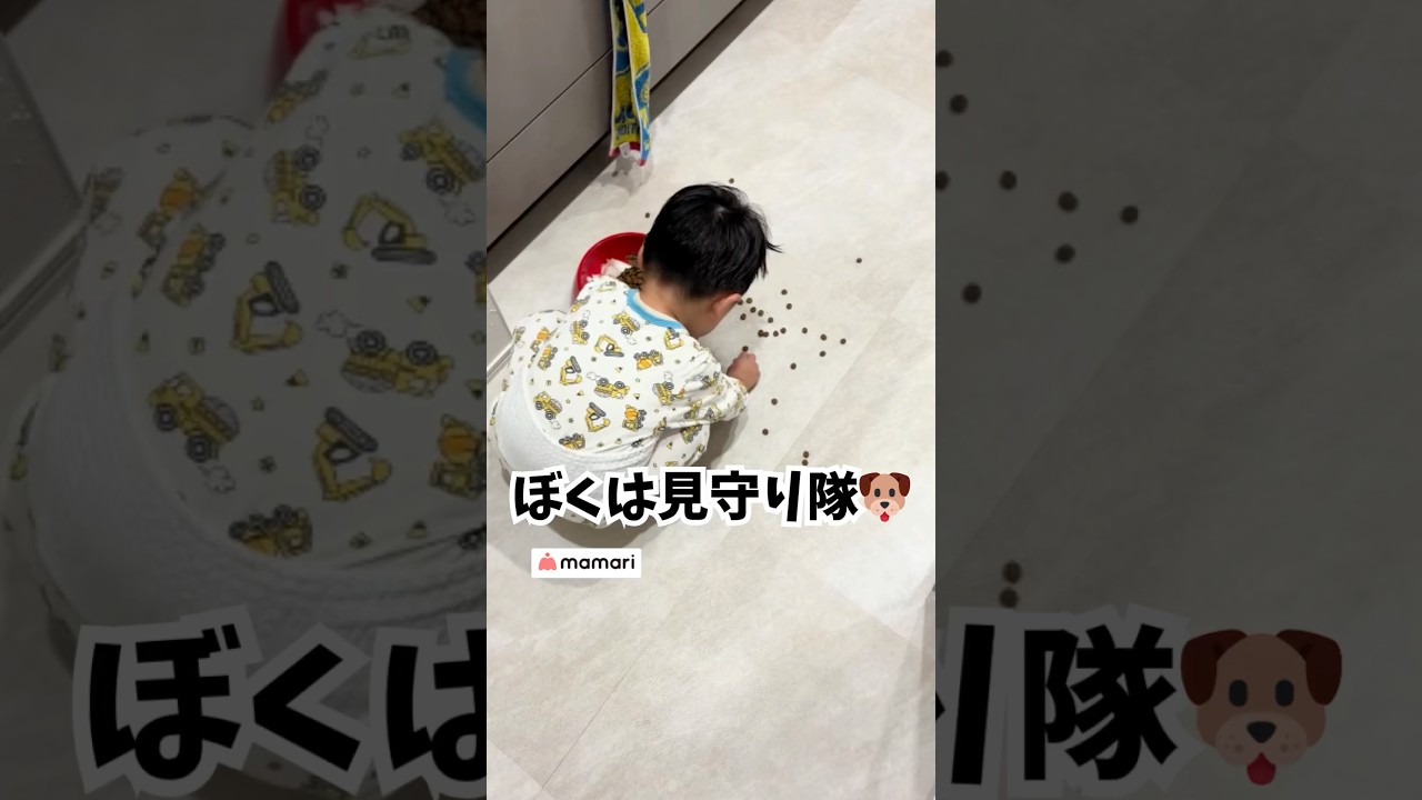 一粒ずつ頑張る君を、ずっと見てるよ🐶#赤ちゃん #見守る #ママリとチャレンジ