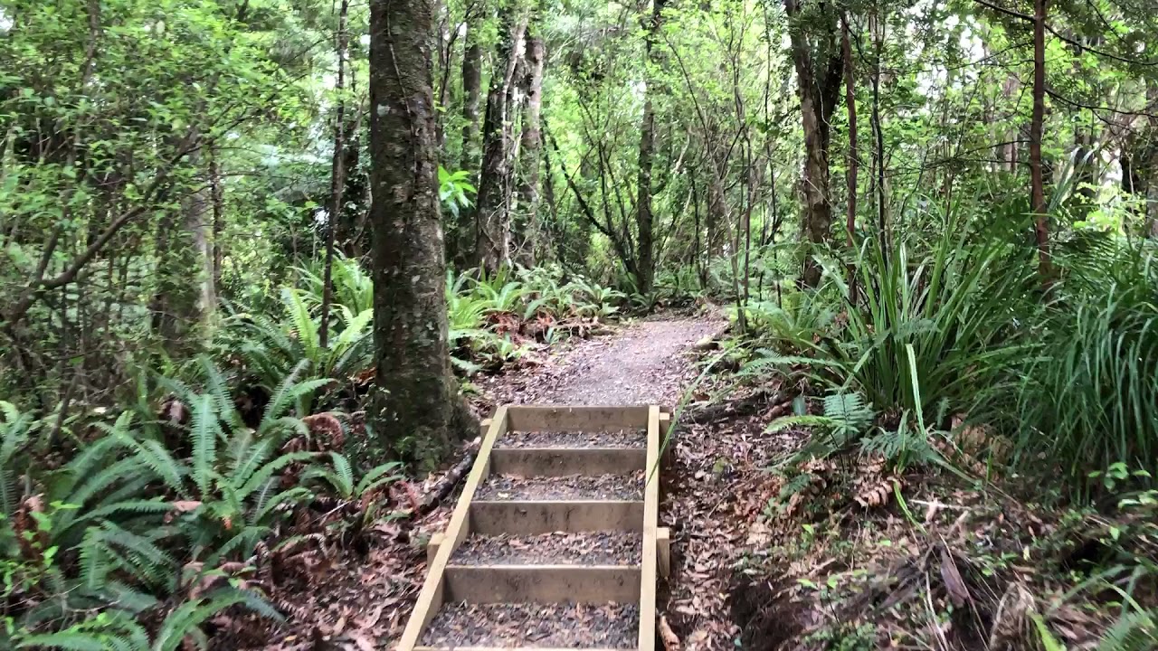 Wairoa Loop Track