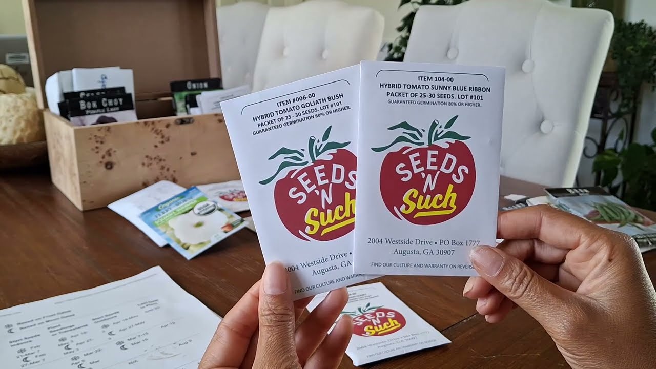 Seeds to Sow in July 🌱 | Succession Planting & What to Grow After Summer Crops Fade