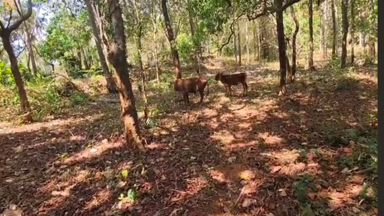 ഈ ഇഷ്ടങ്ങളും ഈ കാഴ്ചകളും എത്രകാലം എല്ലാം മാറിക്കൊണ്ടിരിക്കുന്നു