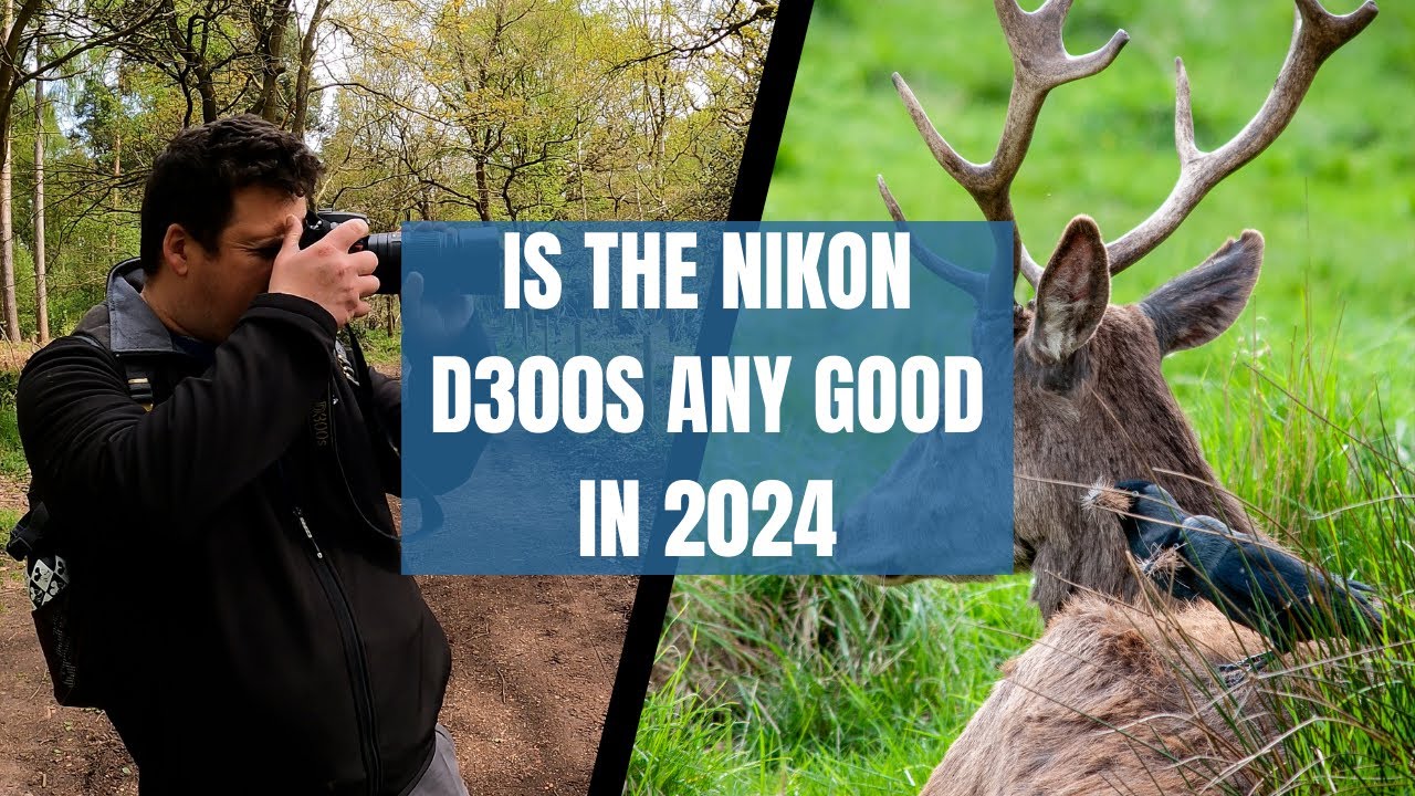 Is the Nikon D300S any good in 2024