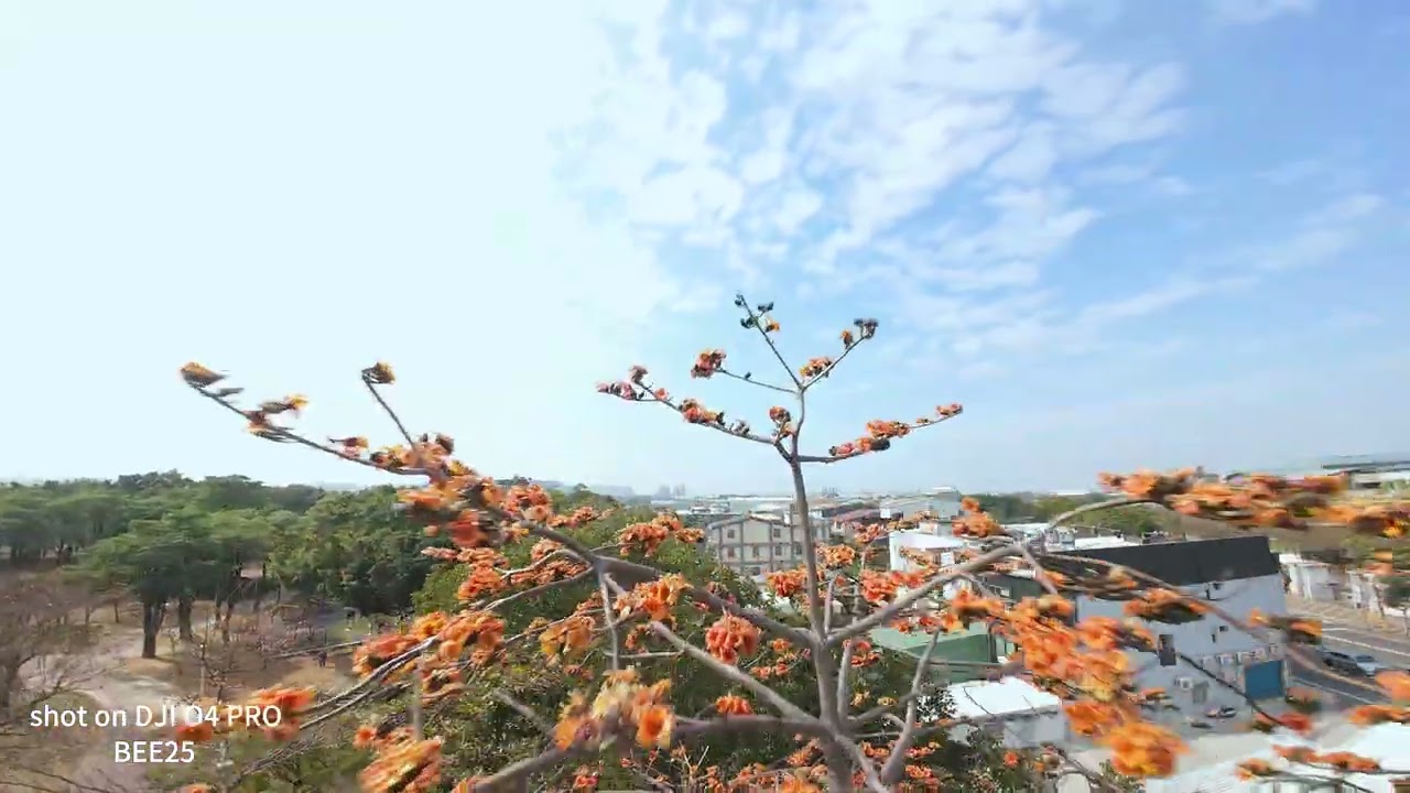路竹公園 FPV航拍