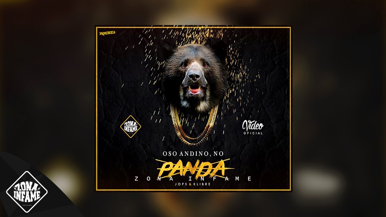 ZONA INFAME - OSO ANDINO, NO PANDA 🐻🐼