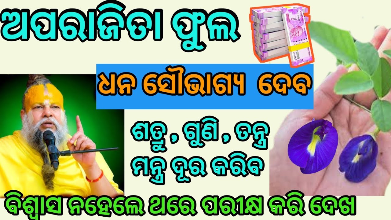 ଏହି ଫୁଲ୍ ଆପଣ ଦେଖିଲେ।। ହାତଛଡ଼ା କରନ୍ତୁ ନାହିଁ।। ଶତ୍ରୁ ପାଦ ଧରିବ ସେ ସାରା ଜୀବନ କାନ୍ଦିବ।।