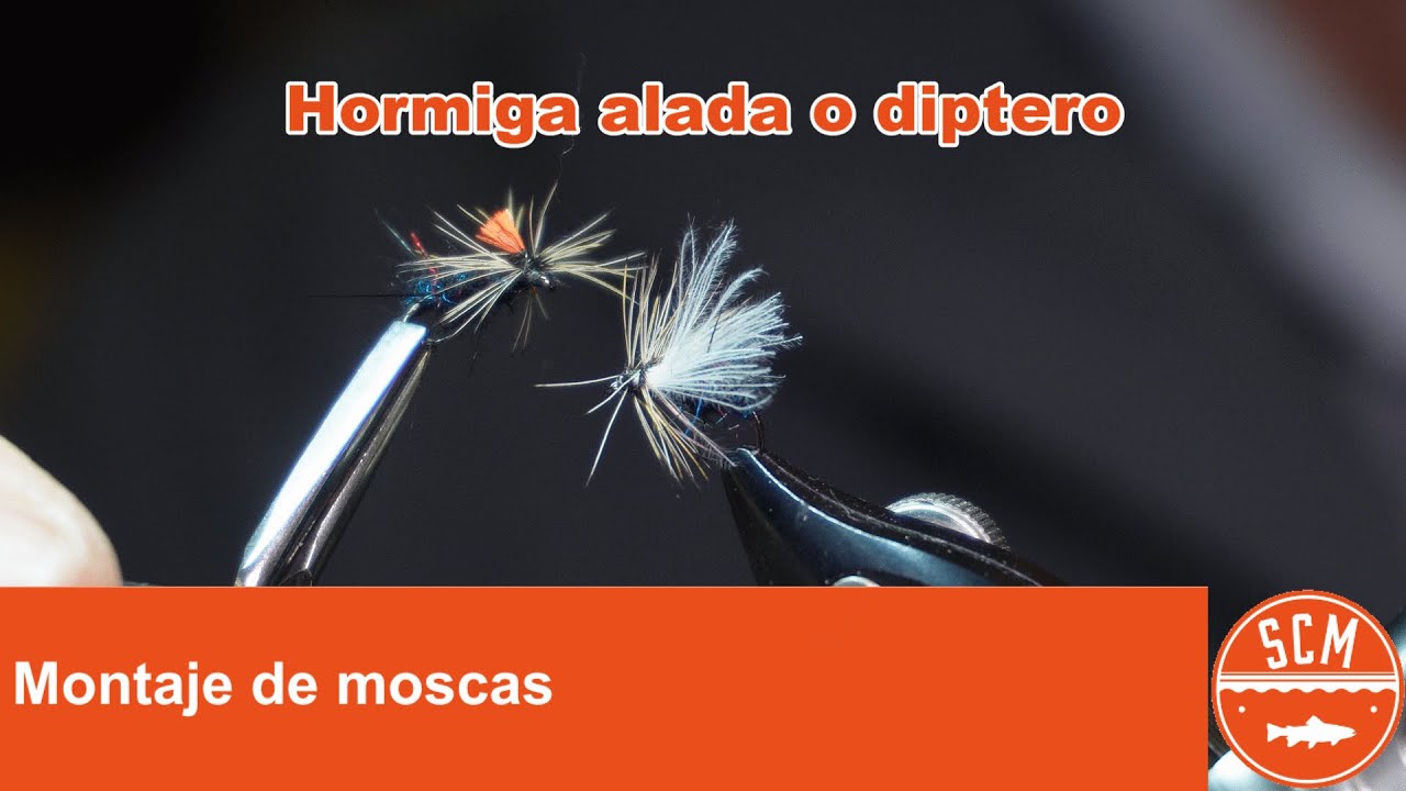 Montaje hormiga alada/diptero sencillo - atado de moscas