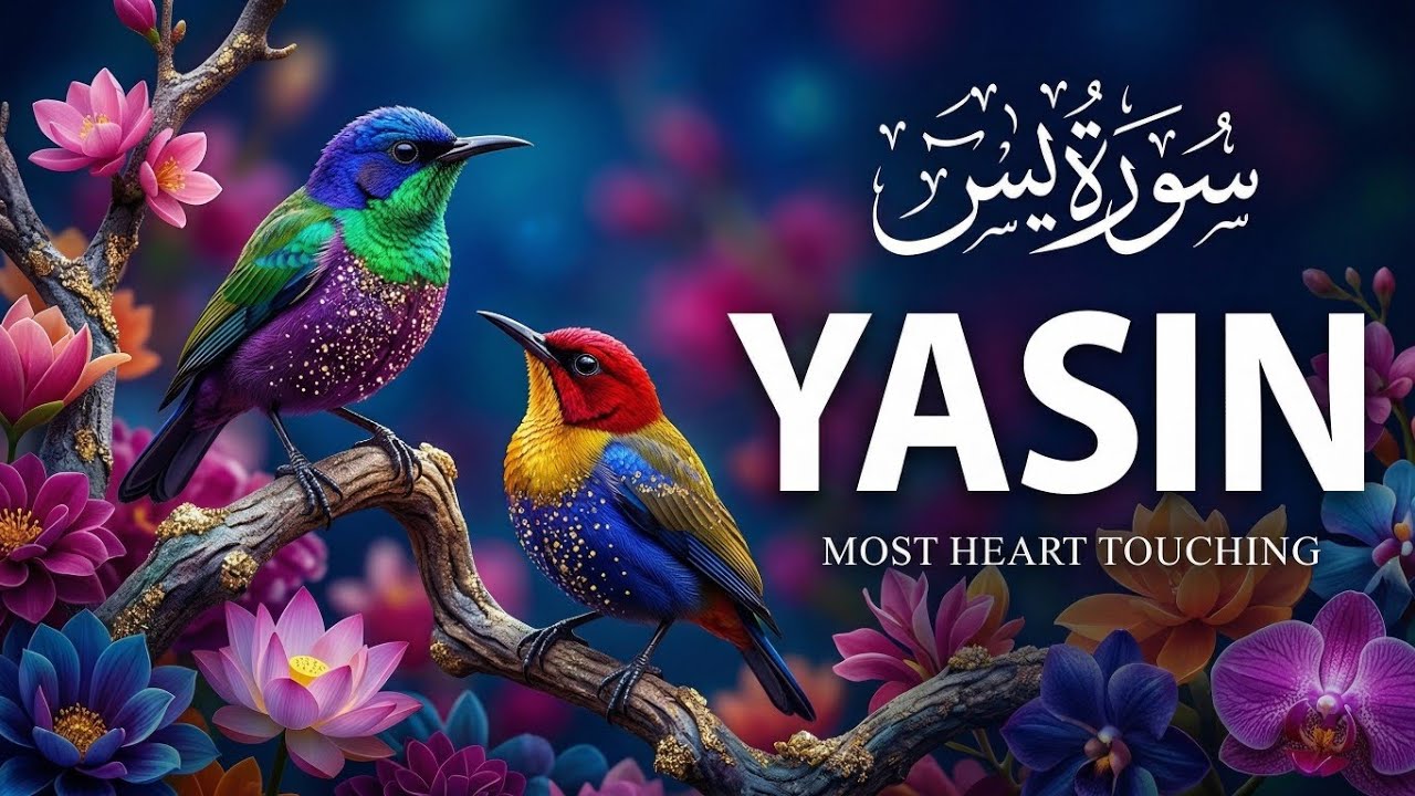 Surah Yaseen Full Tilawat HD Video | Complete Quran Recitation Soul Touching Voice