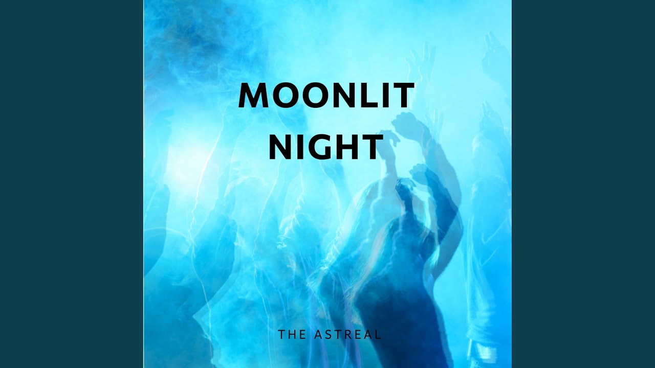Moonlit Night