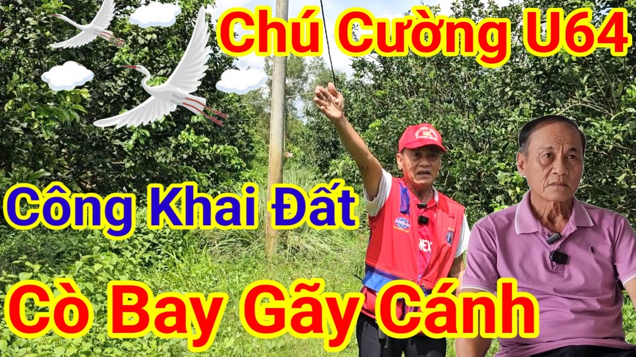 Chú Cường U64 Tuyển Vợ 