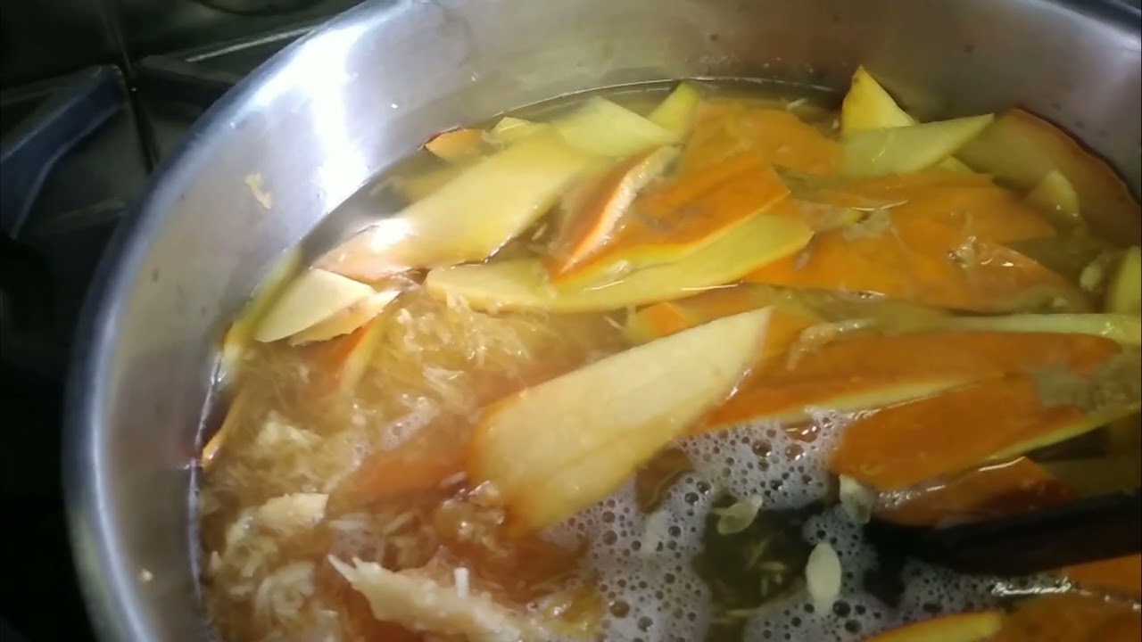 Pumpkin Skin Stock
