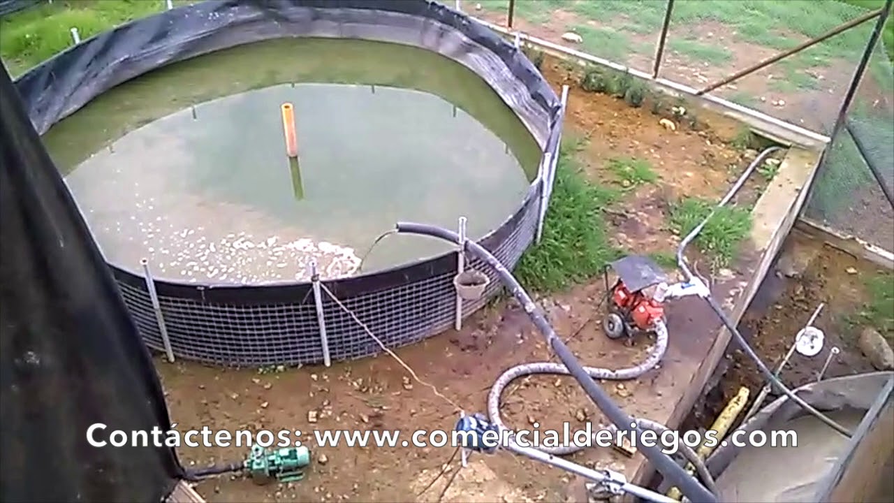 SEPARADOR DE SÓLIDOS COMPACT | BAUER | Instalación Ubaqué 🇨🇴 | Cerdos | Estiércol & Compost |