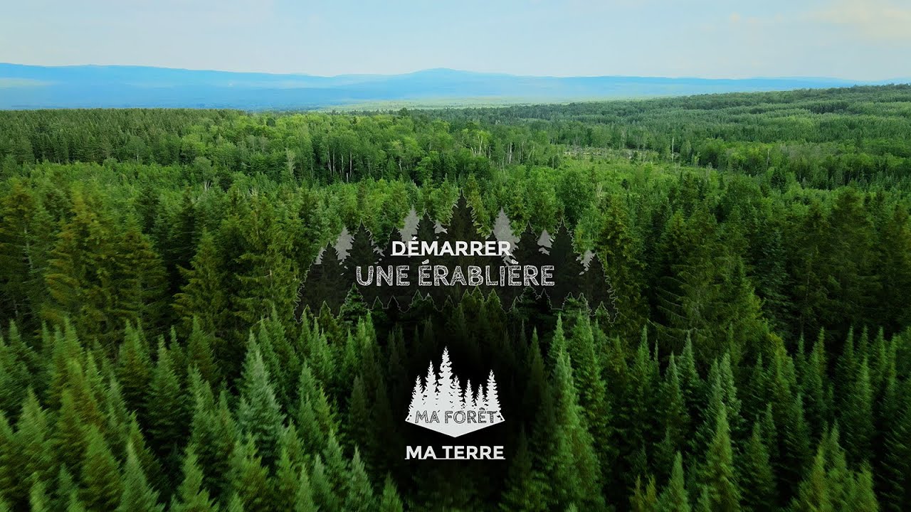Ma forêt, ma terre: Démarrer une érablière