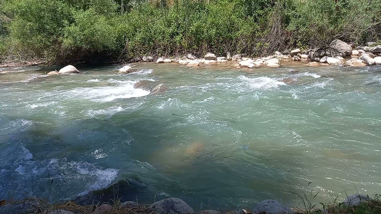 Маёфка учун ажойиб жой Шахрисабз Мираки