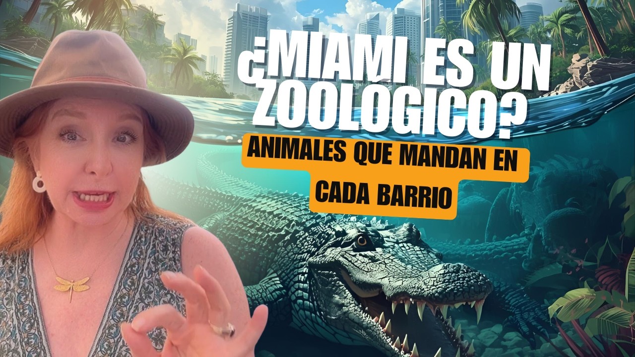 Los vecinos salvajes de Miami 🐊🦩 | Cuando los animales cuentan la historia de cada barrio