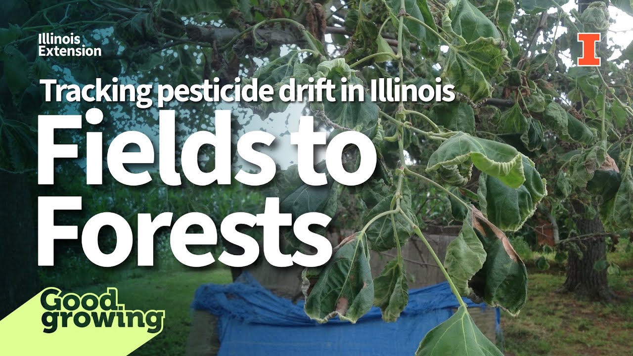 Chemical Trespass in Illinois: Impact of Herbicides on Native Trees and Ecosystems | 