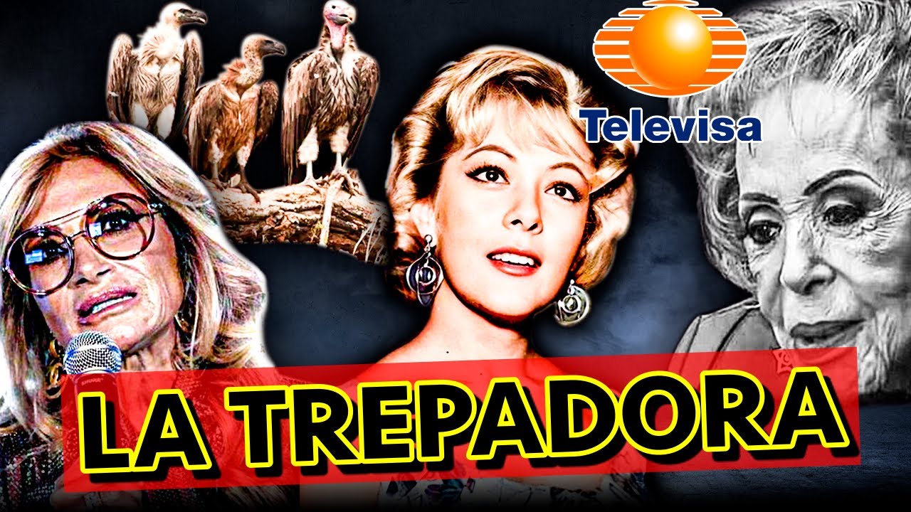 Por La FAMA Y EL PODER, La GRAN OSCURIDAD De SILVIA PINAL | Los Expulsados