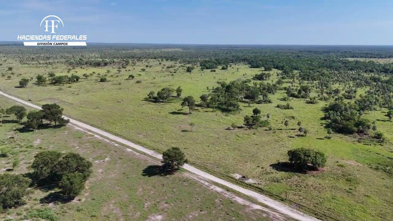Estancia La Clorinda en venta | 15.550 hectáreas ganaderas en Formosa | Haciendas Federales