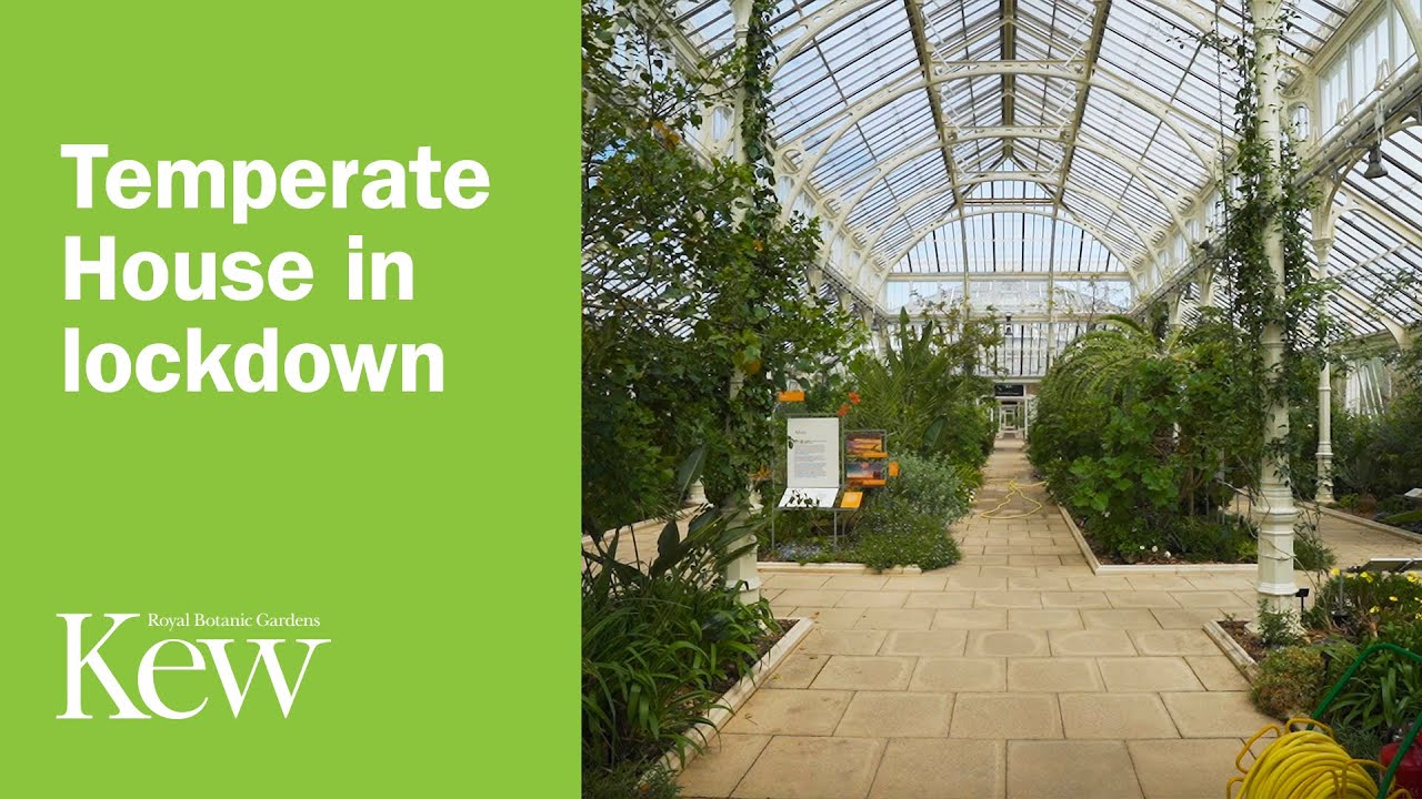 Temperate House in lockdown