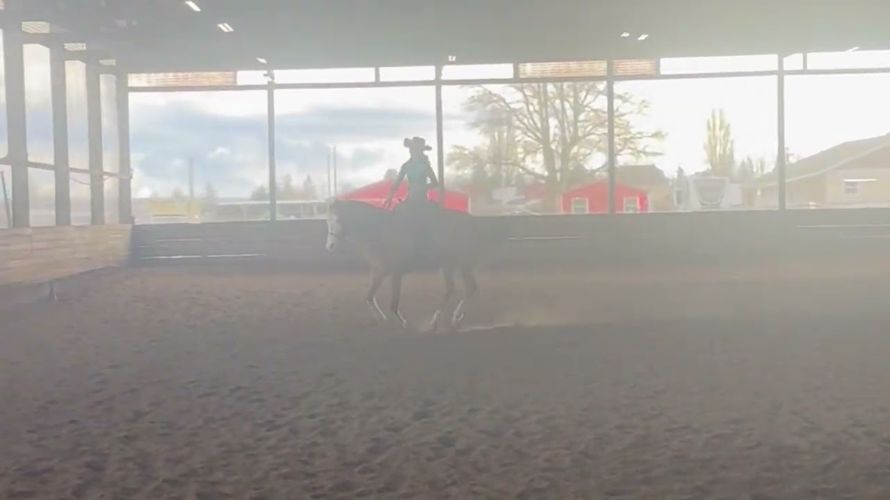 2/21/26-2/22/26 IEA Show Reining and Horsemanship Clips