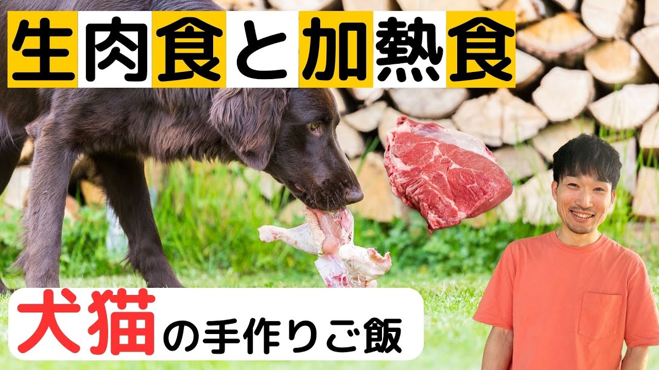 犬猫には生肉をあげるべきか加熱した肉をあげるべきか？【食事指導のプロが徹底解説】