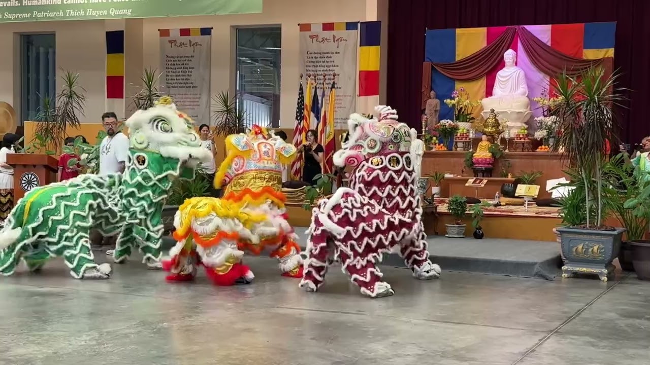 On Ngai Inauguration: Lion Dance Prayers