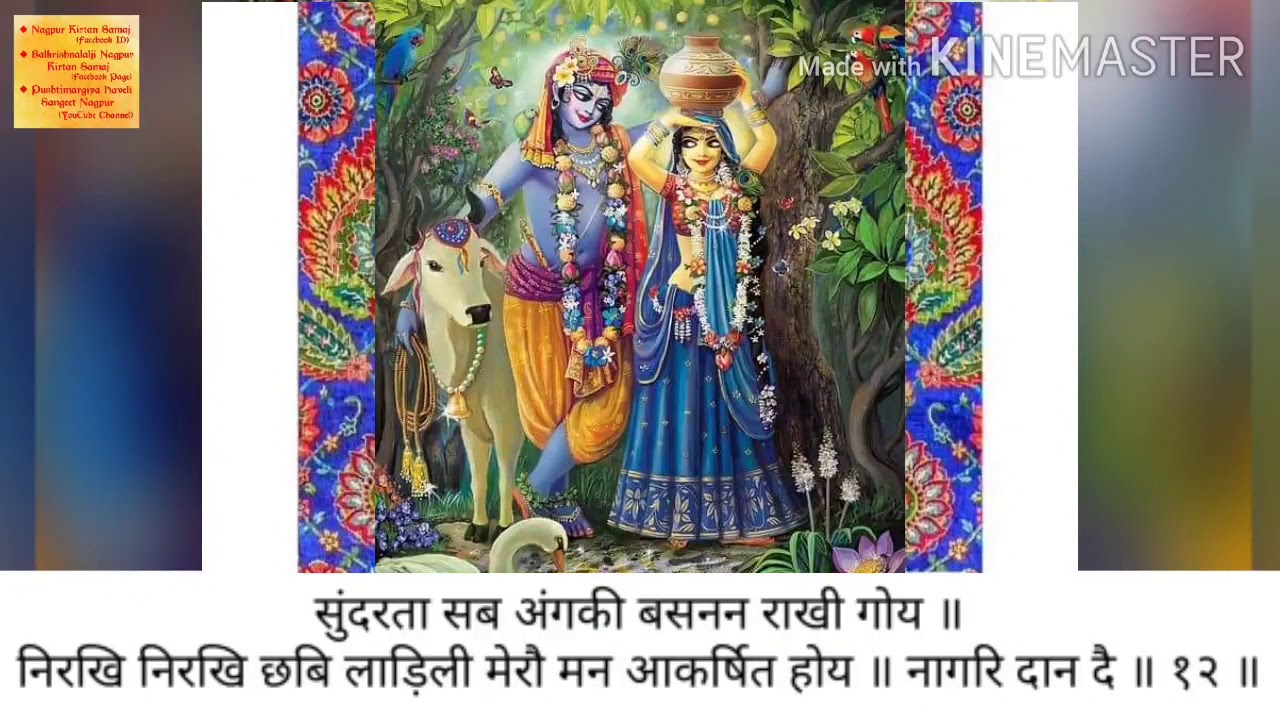 तुम नंदमेहेरके लाल|राग-बिलावल|ताल-धमार|श्रीहरीराय महाप्रभुकी बड़ी दानलीला|ShriGirdhargopalJiMapawala