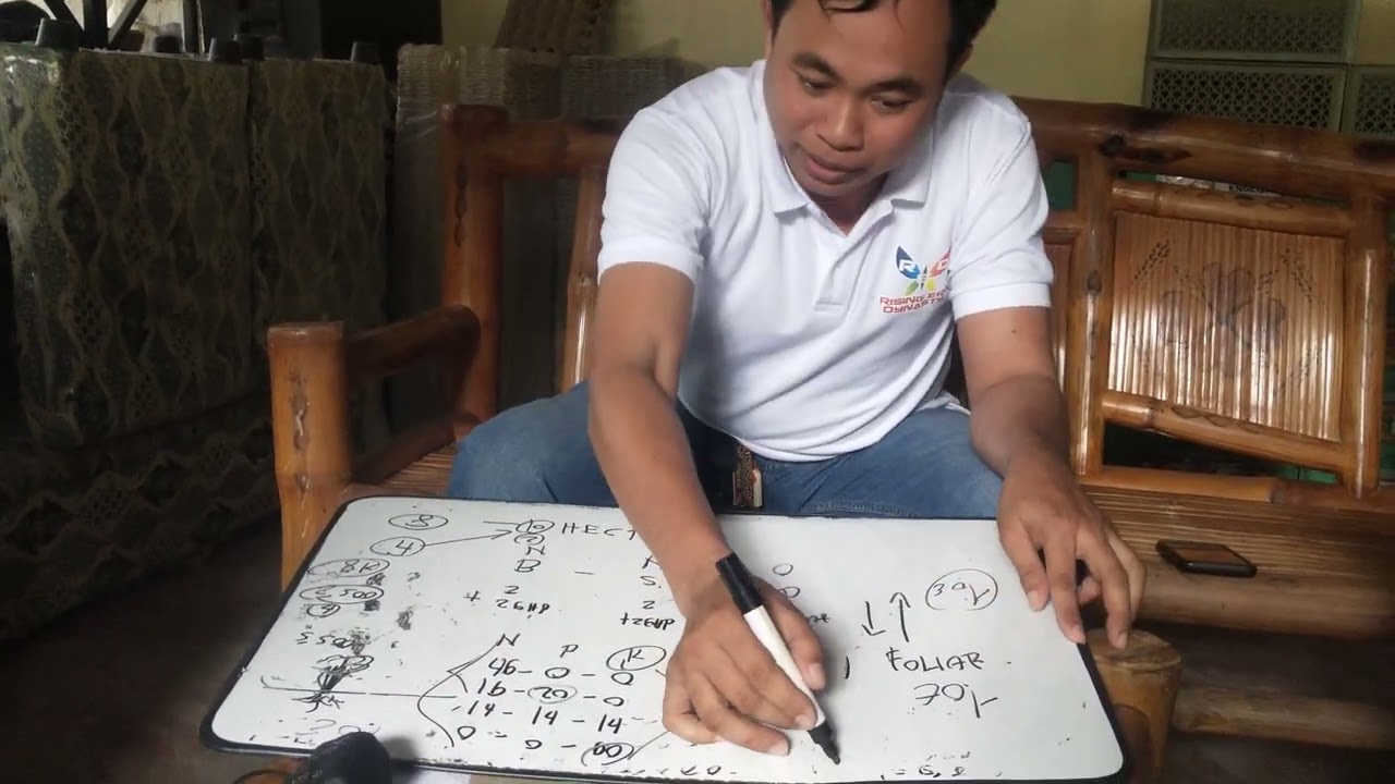 Anu nga ba ang timing na paggamit ng abono at Grand Foliar