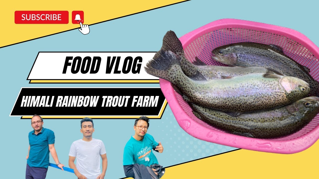 Fishing Rainbow Trout || Himali Rainbow Trout Farm || Food vlog